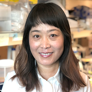 Aijun Liao, M.D., Ph.D.