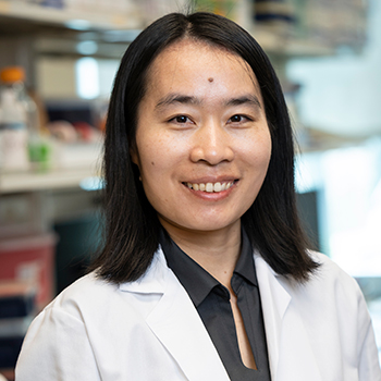 Zhilian Jia, Ph.D.